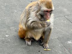-千岛湖东南湖区