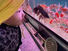 -魔力熊儿童早教托育中心(硚口同馨店)