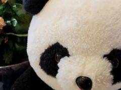 -了凡国风主题茶馆·咖啡(武侯祠锦里店)