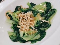 -新名仕新白玉兰餐厅