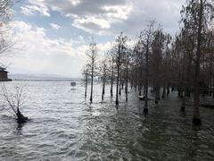 -大理洱海