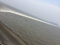 -钱塘江大桥