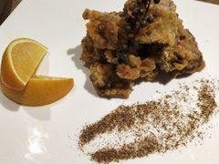 -百好乐宠物友好餐厅(朝外大街店)