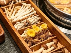-菌小白·野生菌火锅(时尚天河店)