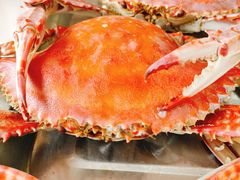 -渔民船说·北塘海鲜·天津菜·海肠捞饭(北塘古镇店)