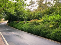 -青岛德国总督楼旧址博物馆