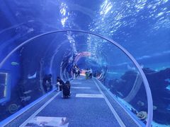 -成都浩海立方海洋公园