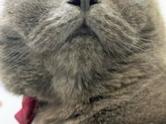 -美美宠物诊疗中心·异宠·骨科(滨江东信分院)