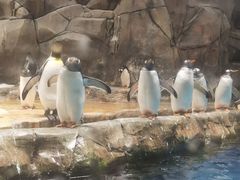 -香港海洋公园