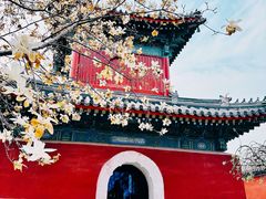 -北京艺术博物馆(万寿寺)