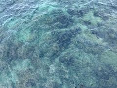 -三亚西岛海洋文化旅游区