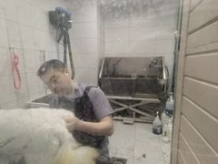 -达爱动物医院·犬猫分区·CT·复杂眼科(远洋山水分院)