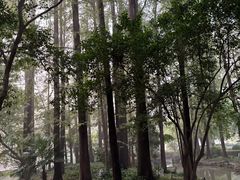 -中山公园