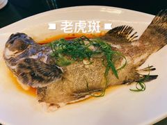 -达叔香味海鲜(海棠68环球美食街店)