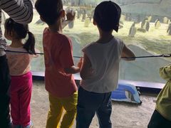 -帝企鹅自助餐厅•儿童岛•真企鹅(长隆企鹅酒店)