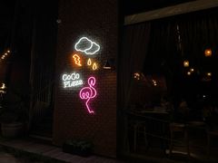 -Coco Tam’s