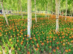 -长春公园(普阳街道)