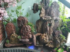 -每食每刻·皖北新民地锅鸡