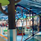 🙈今日份—溜娃圣地！🙈 