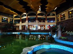 -咸宁万豪温泉谷度假区