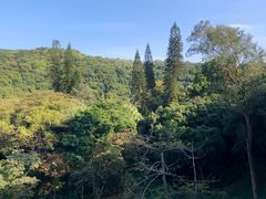 -广州市白云山风景名胜区