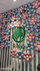 点击看大图 -卡尔诗·科技美肤连锁