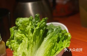 Crispy Lettuce