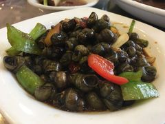 炒丝螺-清水湾农庄