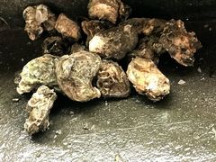 -嵊泗基湖沙滩