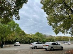 -胜华驾校·小猫学车(银都店)