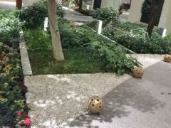 android_upload_pic-仁恒美食庭苑