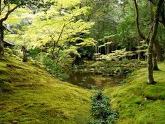 -西芳寺(苔寺)