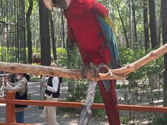 -北京野生动物园