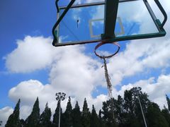 -西南林业大学(白龙校区)