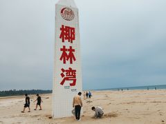 -东郊椰林