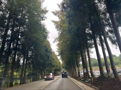 -山王坪喀斯特国家生态公园