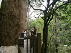 -黔灵山公园-南门售票处