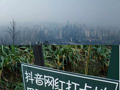 -南山植物园