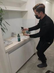 -爱维丽