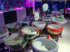 -中环花鸟鱼虫市场