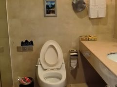 -张家界大成山水国际大酒店
