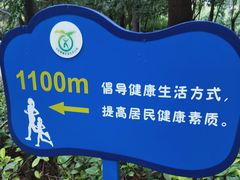 -西安市长乐公园