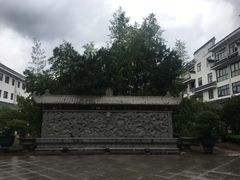 -绿园春早茶