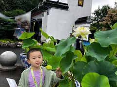 -无锡蠡湖国家湿地公园-蠡园