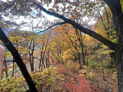 -五女峰国家森林公园