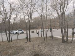 -长春市南湖公园