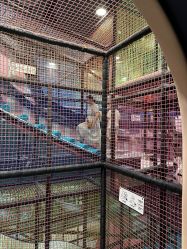 -meland亲子乐园(深圳领展中心城店)