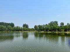 -东郊湿地公园