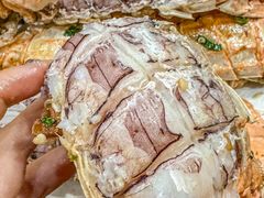 -凯华海鲜火锅·传承三十六年