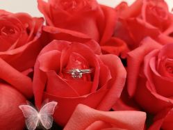 -I Do(镇江苏宁广场店)